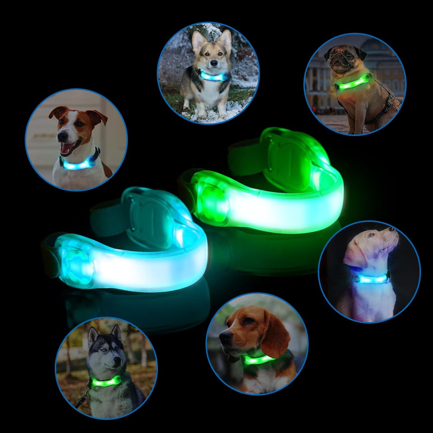 Collier Lumineux Chien | Bandes Led LumiAventure™