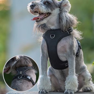 Harnais chien anti traction | NuitDogâą