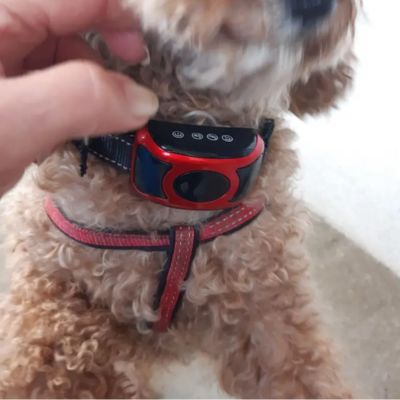 Collier Anti Aboiement Gros Chien | Vibradogâą