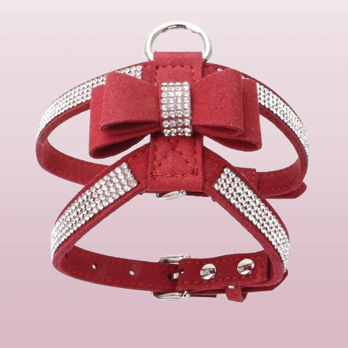 Harnais petit chien | Strasspet