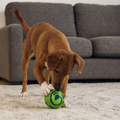 Balle pour Chien BarkyBoom jeux intérieur