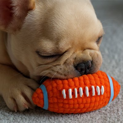 Balle pour Chien DogRush bulldog qui joue