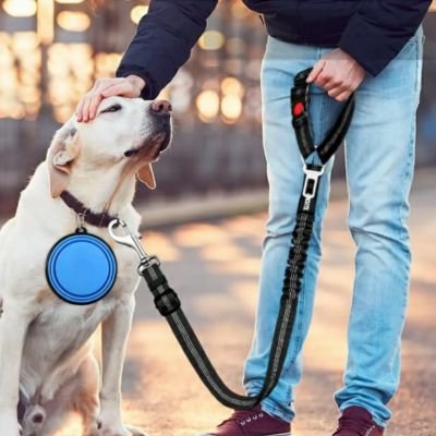 Ceinture de sécurité pour chien PawGuard universelle
