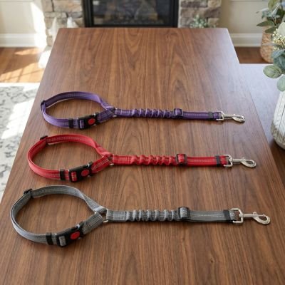 Ceinture de sécurité pour chien PetSecurity coloris gris rouge violet