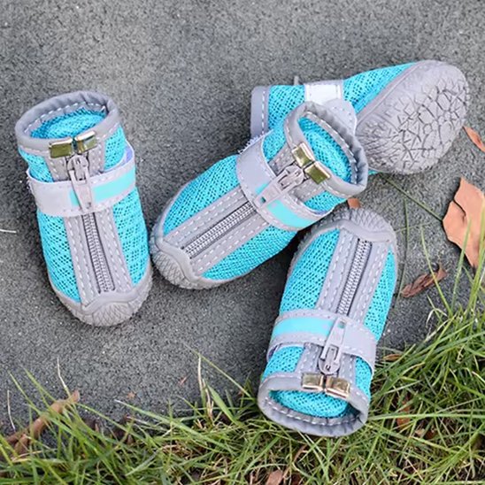 Chaussure chien facile Ă enfiler avec zip frontal