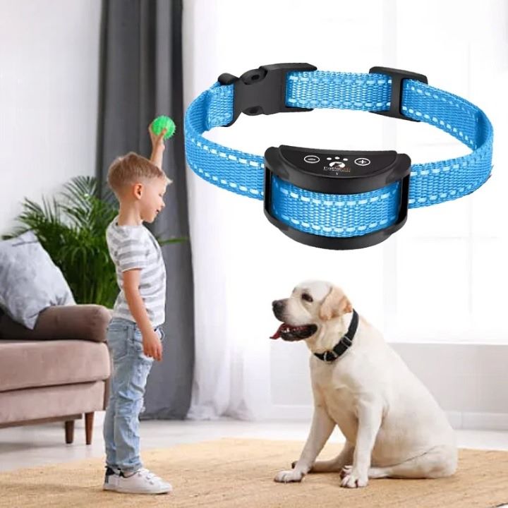 collier-anti-aboiement-chien-bleu