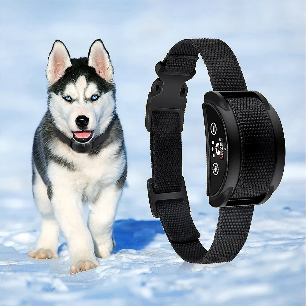 collier-anti-aboiement-chien-noir