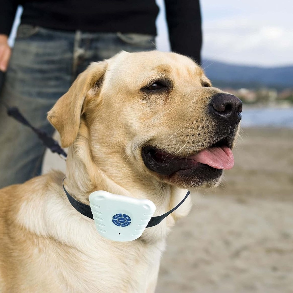 collier-anti-aboiements-sans-chocs-mutedog
