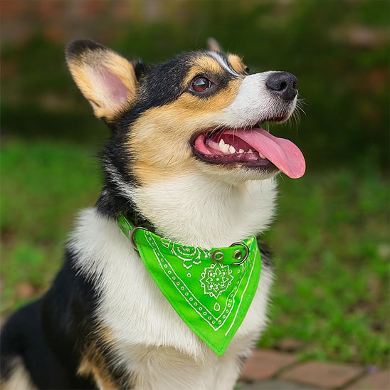 Collier Bandana vert motifs style mandala vert