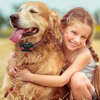 Collier chien Anti Aboiement | EduCoolPet™