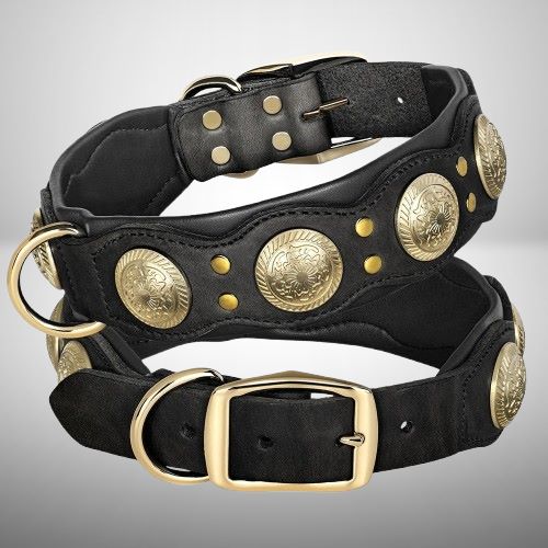 collier-chien-cuir-design-noir-bobdog