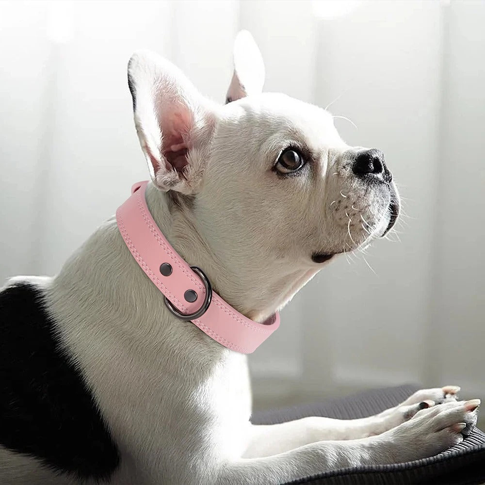 collier-chien-cuir-veritable-rose-afirmdog