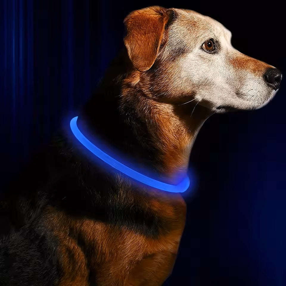 collier-chien-lumineux-bleu-visibilite-confortable-lumikool