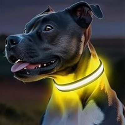 collier-chien-lumineux-jaune-nocturelax