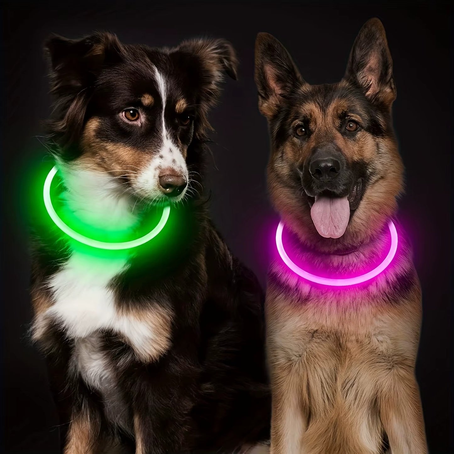 collier-chien-lumineux-vert-rose-securite-balades-nocturnes-lumikool