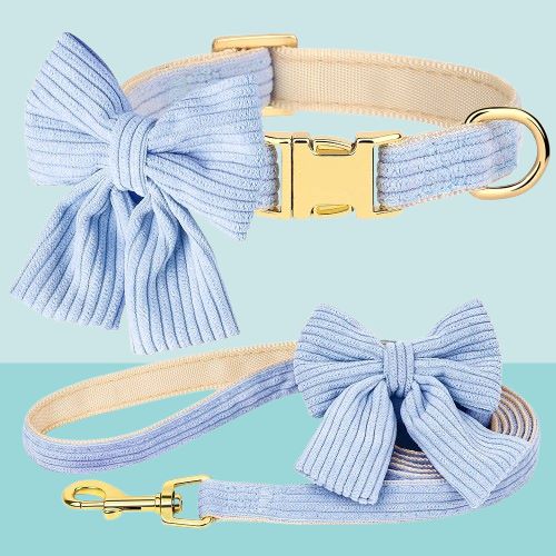 Collier Chien | Butterfly™