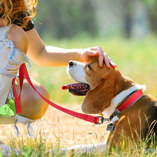 collier-chien-polyvalent-rouge
