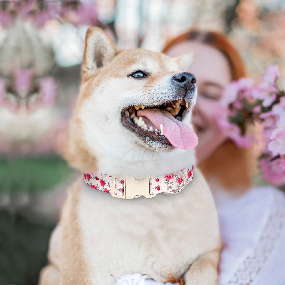 collier-chien-printemps