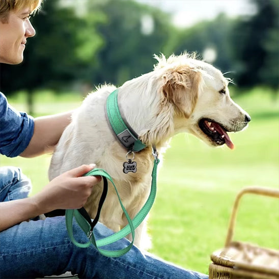collier-chien-resistant-eau-vert