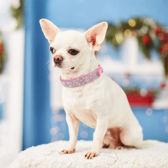 collier-chien-rose-clair-style-glamour-brillant-lilystrass