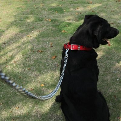 collier-chien-rouge-rembourrage-doux-respirant-funnypetcollar