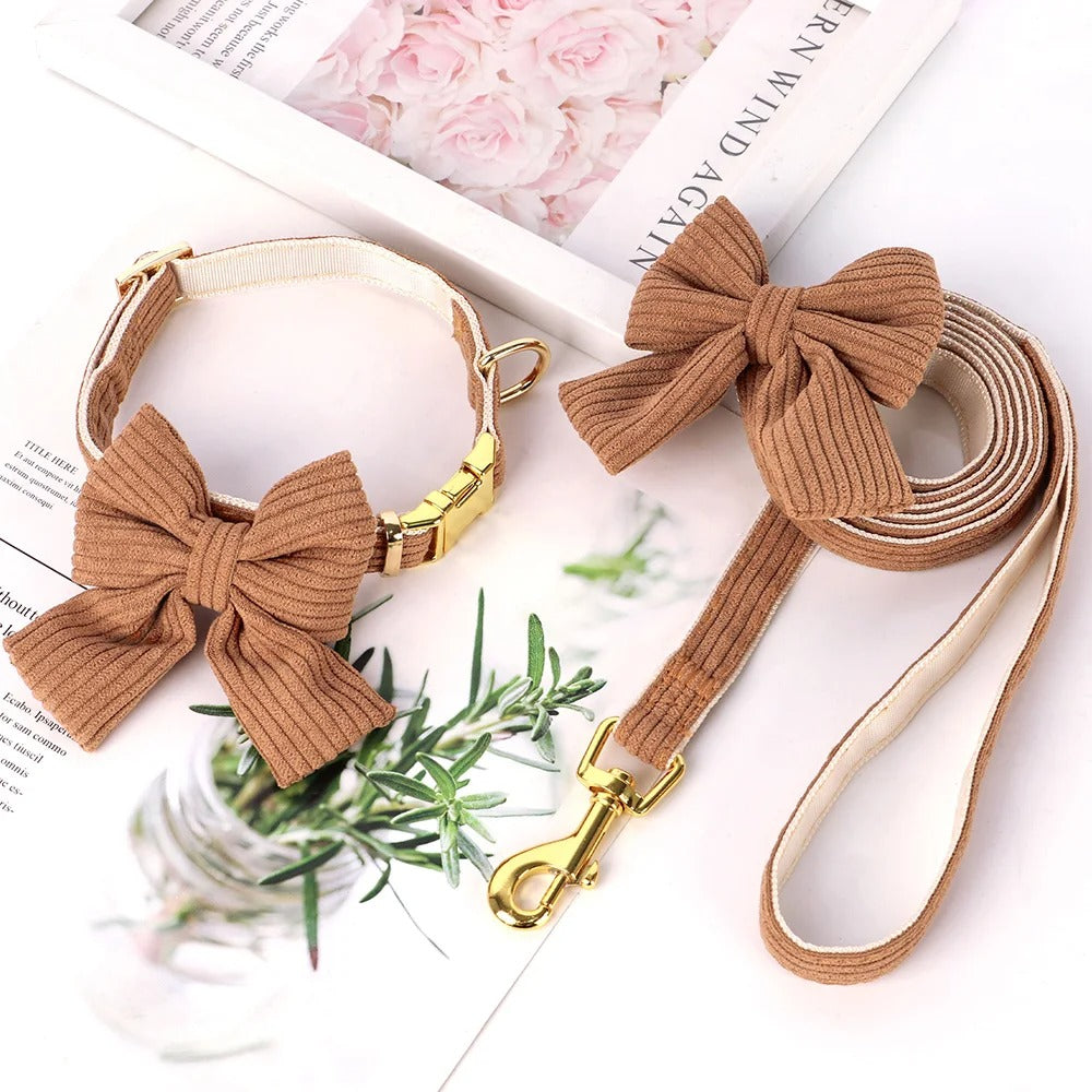 collier-chien-velour-noeud-papillon-marron