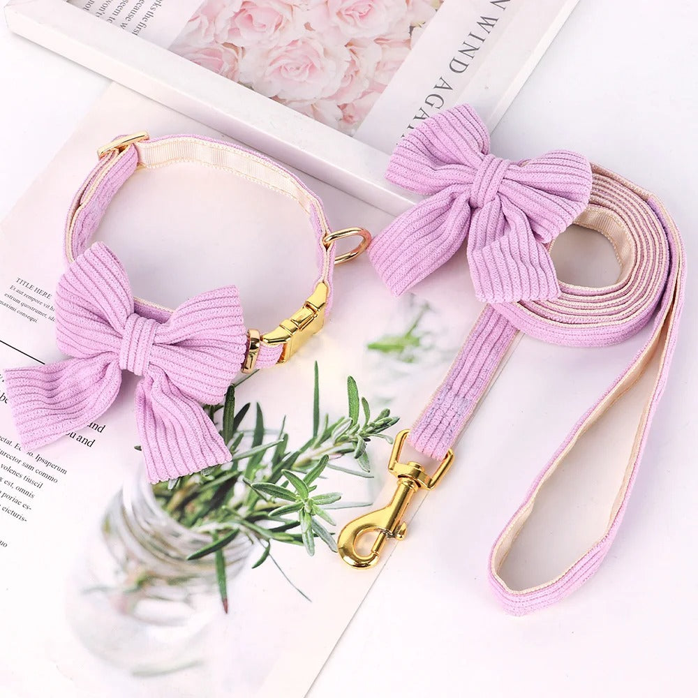 collier-chien-velour-noeud-papillon-violet