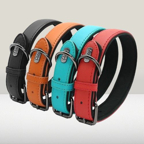 collier-cuir-chien-couleurs