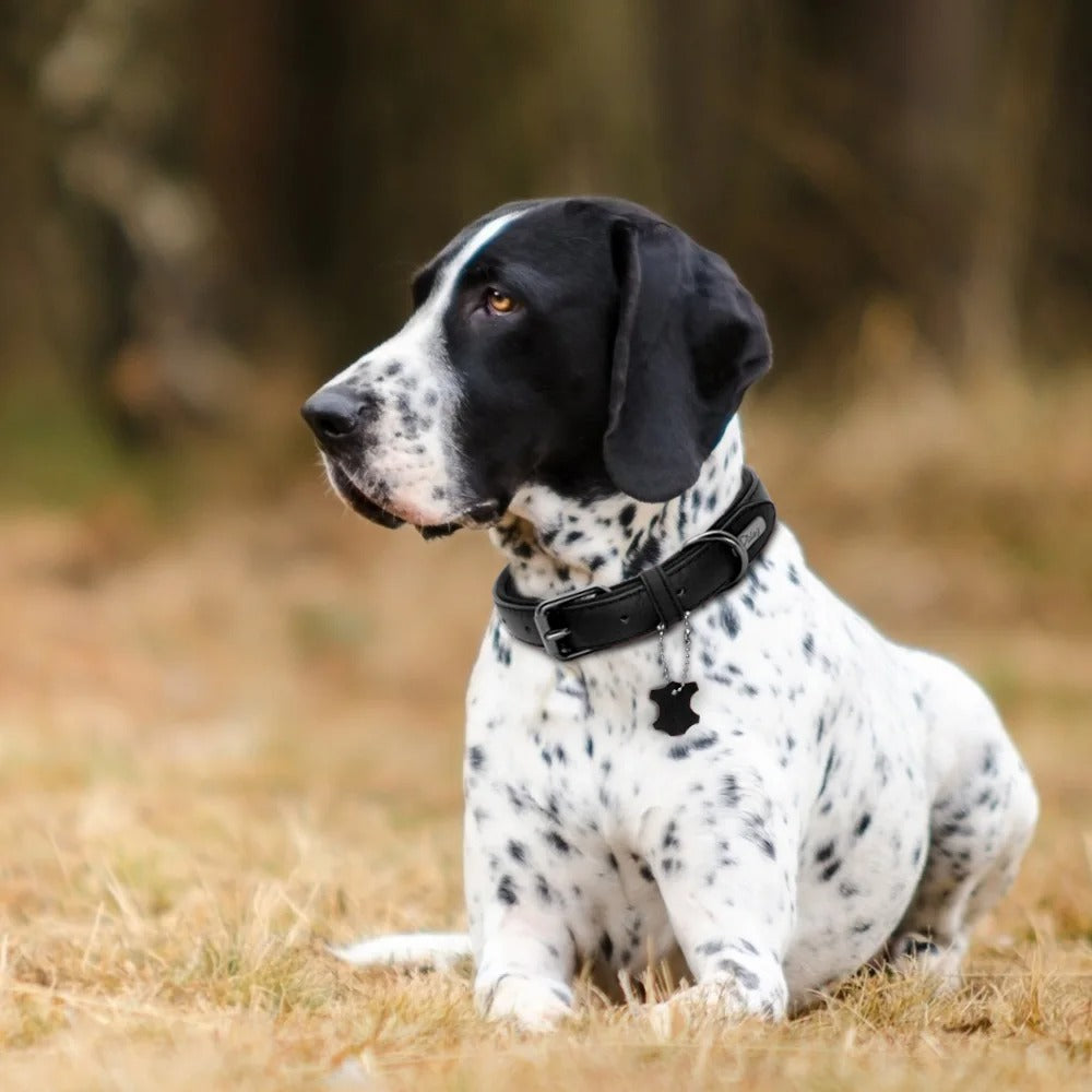 collier-cuir-chien-design-noir