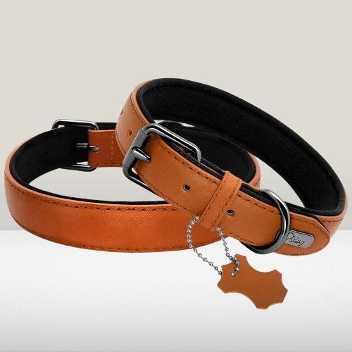 collier-cuir-chien-marron-clair
