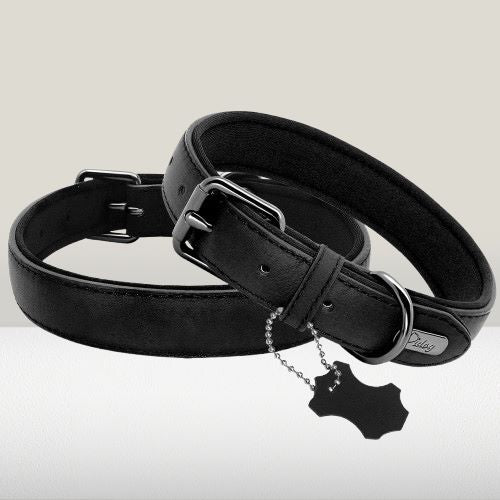 collier-cuir-chien-noir