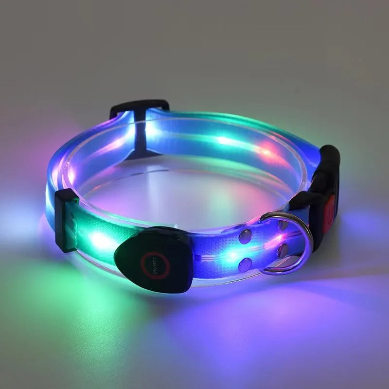 Collier Chien Lumineux | FlashpetSecur™