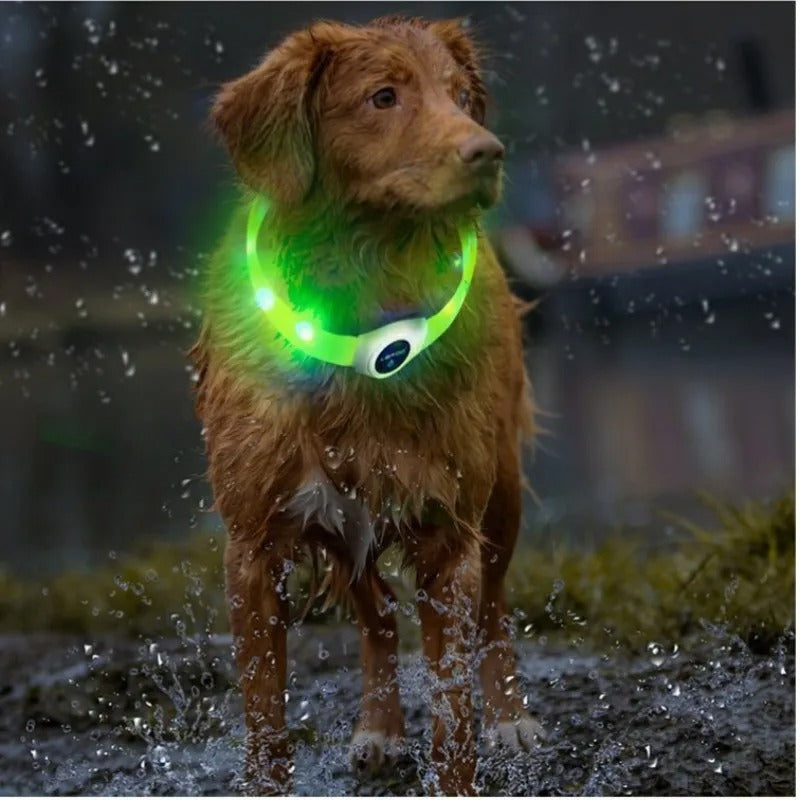 collier-lumineux-chien-led-vert-cocomoyo
