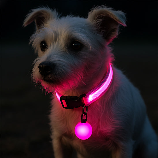 collier-lumineux-chien-rose-usb-rechargeable-securcollar