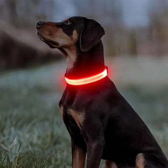 collier-lumineux-chien-rouge-securite-nuit-securcollar