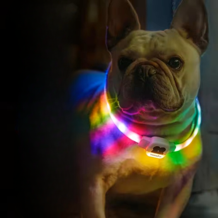 collier-lumineux-chien-securite-nocturne-bulldog-mewoofun