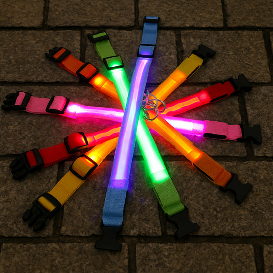 Collier Lumineux Chien | SecurCollarâą