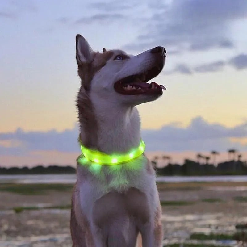 collier-lumineux-chien-vert-led-cocomoyo