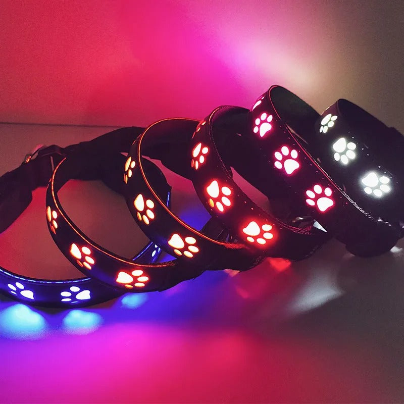 collier-lumineux-pour-chien-led-couleur-funnyledcollar