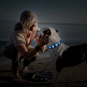collier-lumineux-pour-chien-led-funnyledcollar