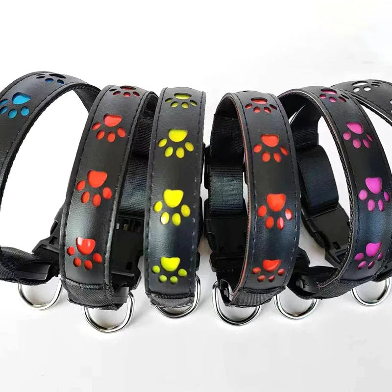 collier-lumineux-pour-chien-led-pattes-funnyledcollar