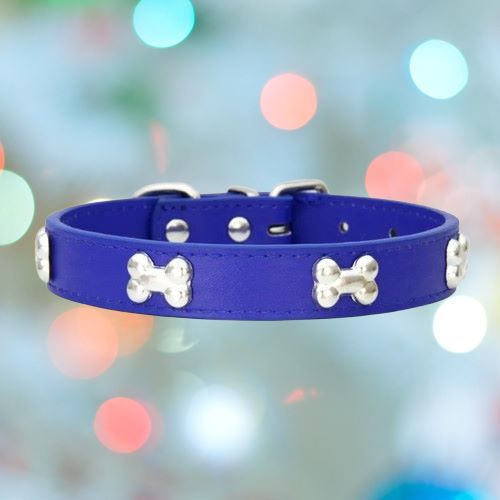 collier-pour-chien-bleue-os-flashPet