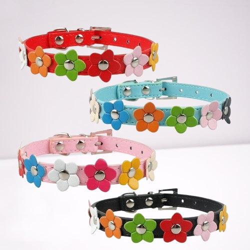collier-pour-chien-couleurs-variantes-fleurs-puppycolor