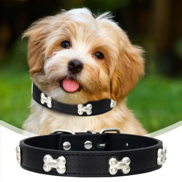 collier-pour-chien-design-os-noir-flashPet
