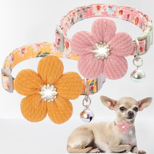 collier-pour-chien-fleurs-jaune-rose-chichipet