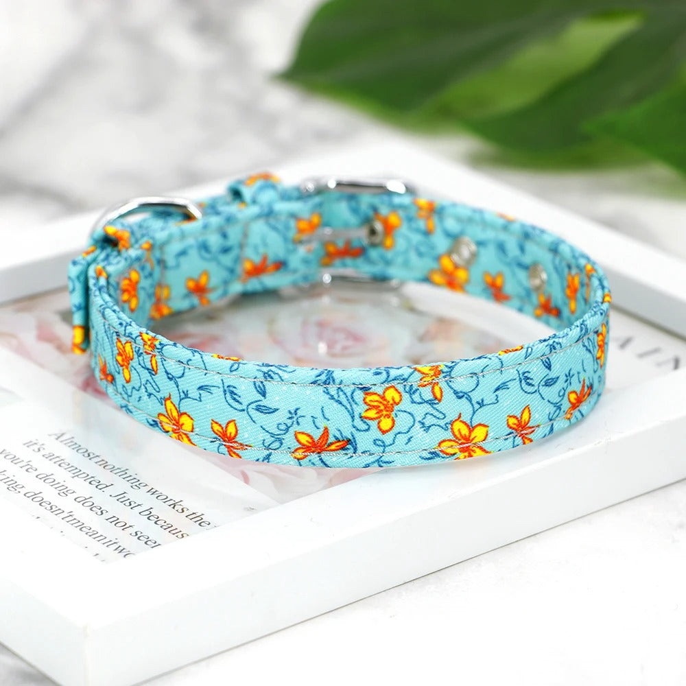 collier-pour-chien-floral-bleu-petflowers