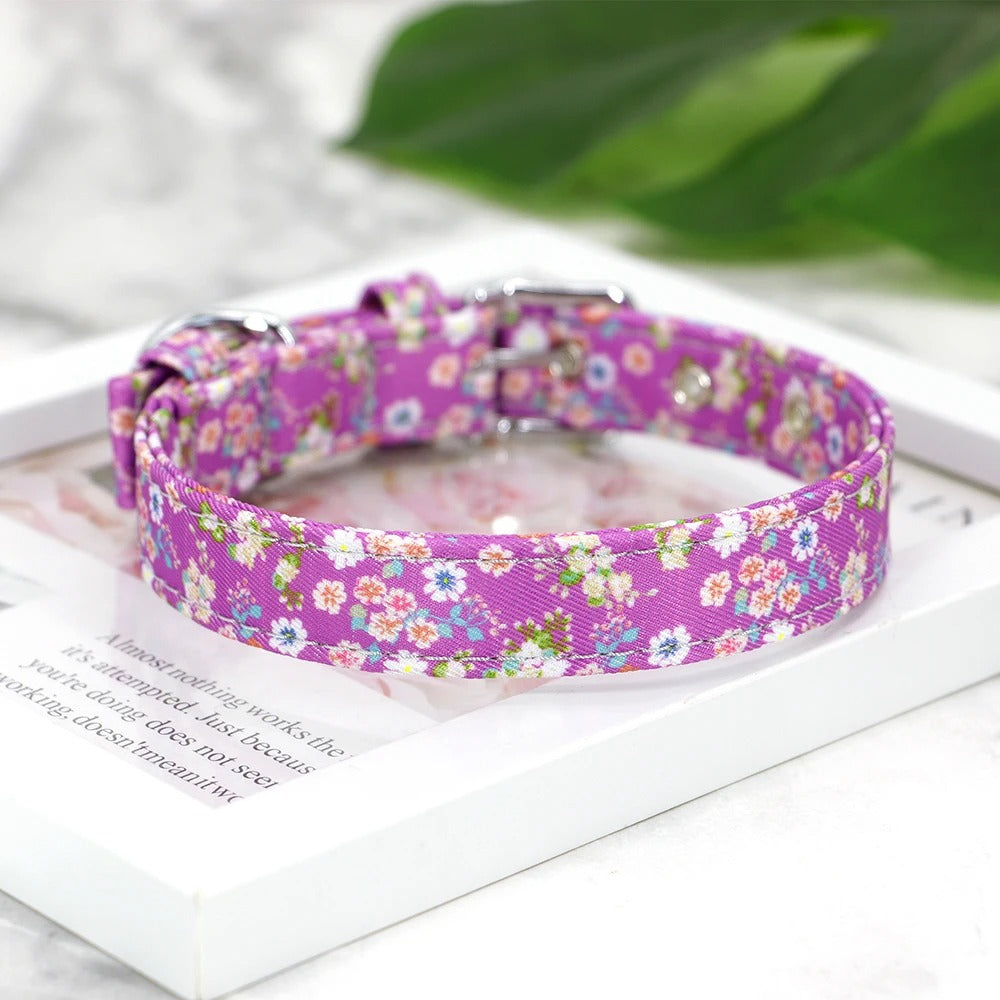 collier-pour-chien-floral-violet-petflowers