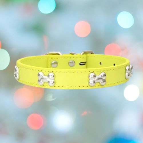 collier-pour-chien-jaune-os-flashPet