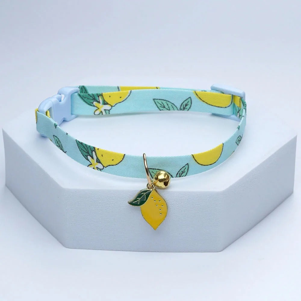 collier-pour-chien-motif-citron-passionexotic