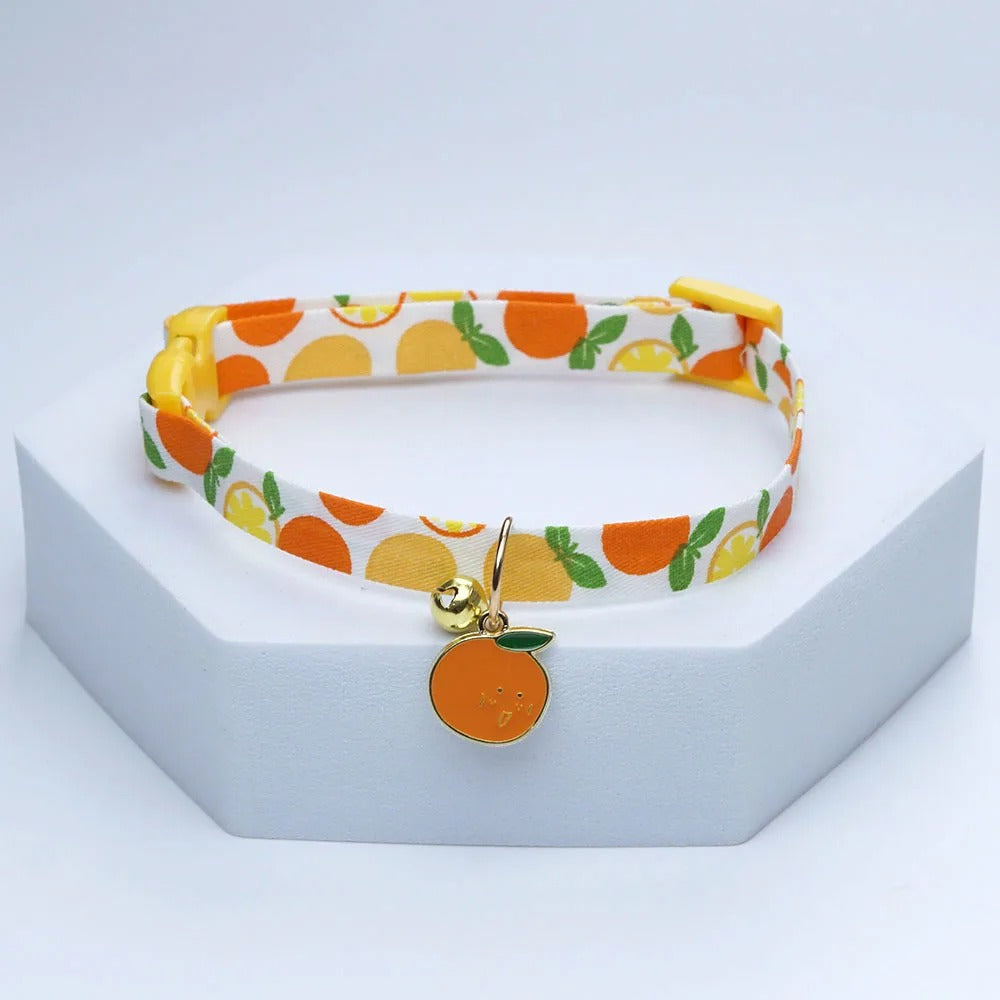 collier-pour-chien-motif-orange-passionexotic